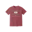 Earth School P.E. Tee - Comfort Colors thumbnail 9