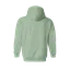 Evolved Roots Signature Hoodie thumbnail 14
