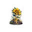 Sunflower Print  thumbnail 1