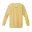 The Only Data Centers I Want are Public Libraries (sweatshirt) thumbnail 4