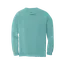 The Only Data Centers I Want are Public Libraries (long-sleeve tee) thumbnail 4
