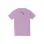 Don't Ask Chat, Ask a Cat thumbnail 4