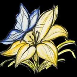 Lily Clinic 