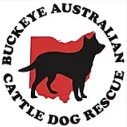 Buckeye Australian Cattle Dog Rescue